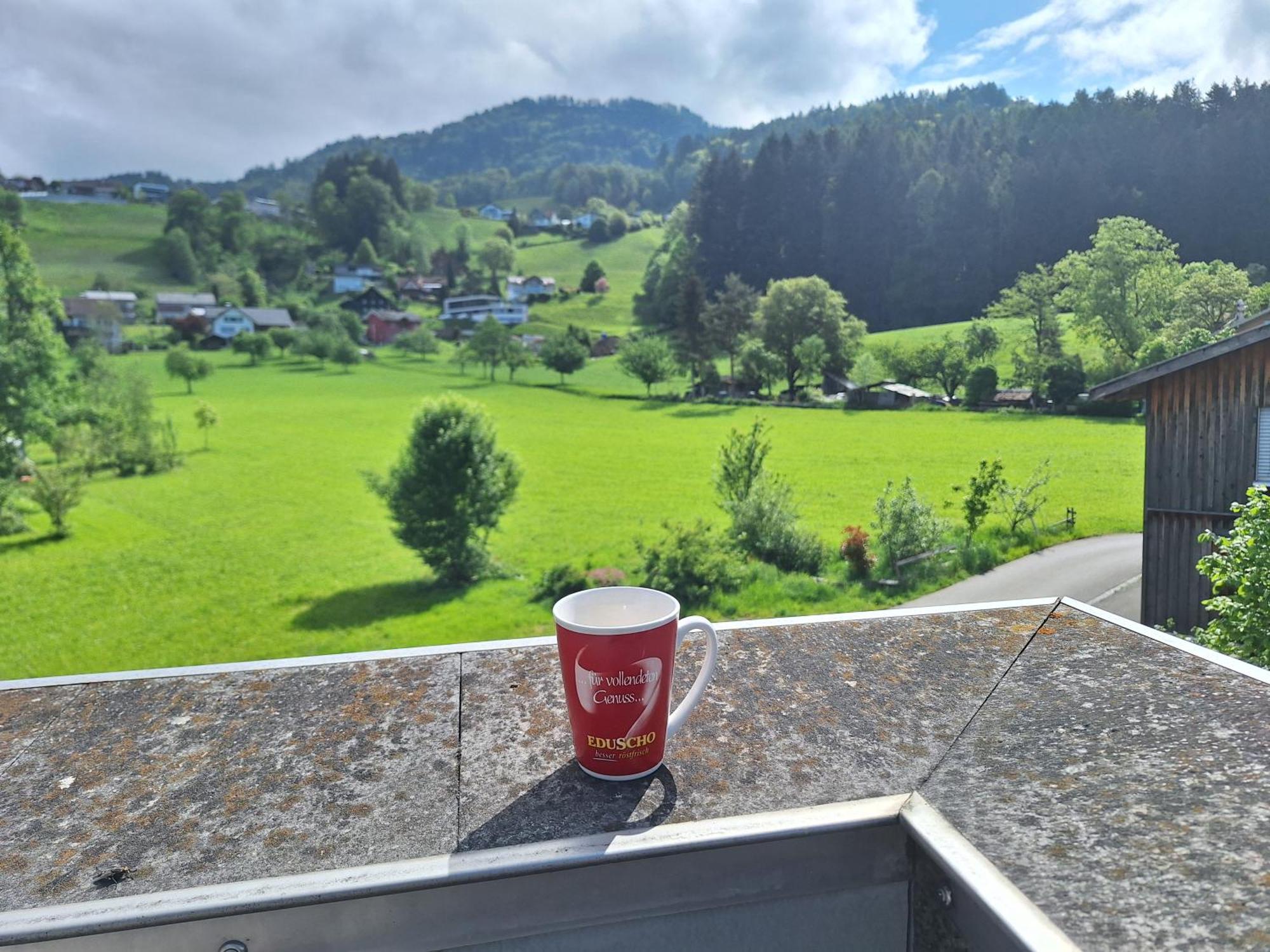 Wohnung Rheintal Im Alpenvorland Batschuns Extérieur photo