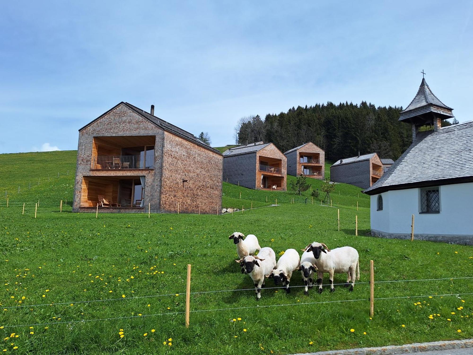 Wohnung Rheintal Im Alpenvorland Batschuns Extérieur photo