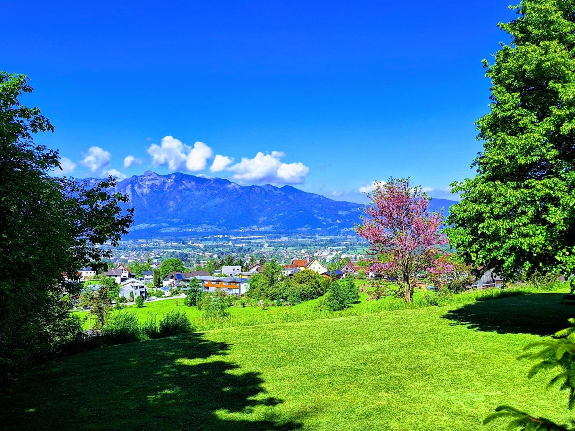 Wohnung Rheintal Im Alpenvorland Batschuns Extérieur photo